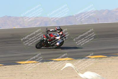 media/Nov-12-2023-SoCal Trackdays (Sun) [[5d1fba4e7d]]/Bowl (930am)/